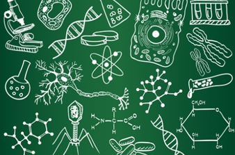 All Inclusive Ultimate Circle Island Day with Lunch